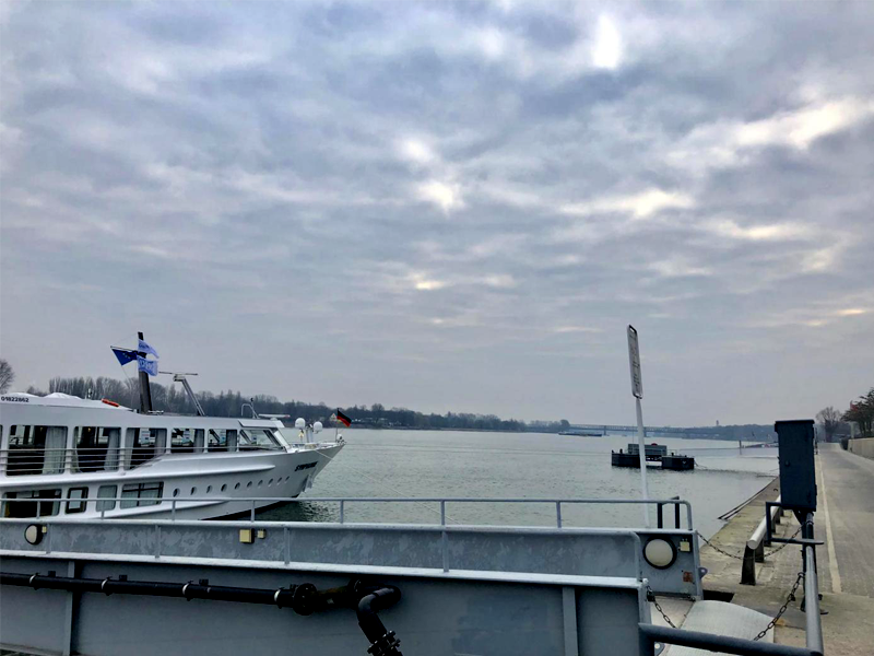 ed_1558590854819282.png 9.png