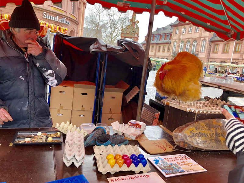 ed_1558591011660322.jpg 11.jpg